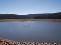 lake2.png